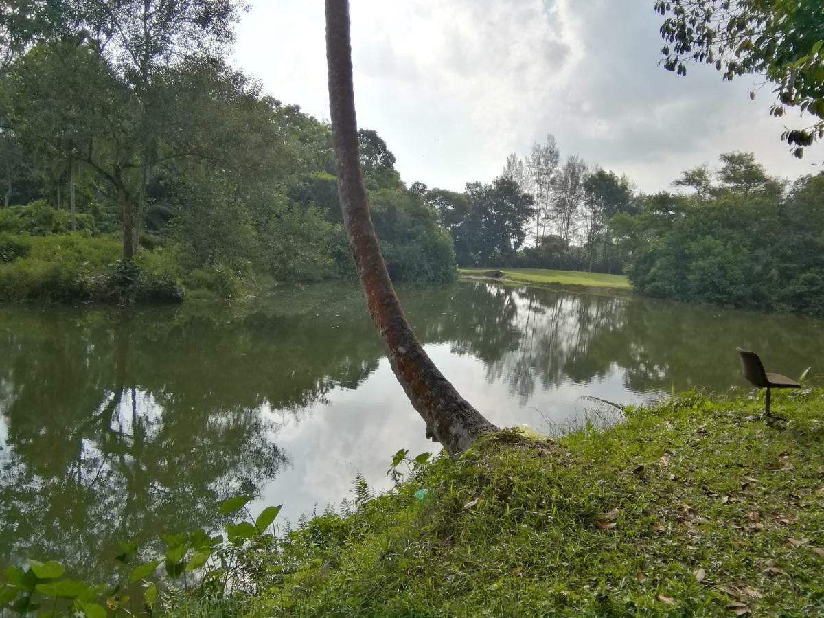 Janaview Taiping Hotel מראה חיצוני תמונה